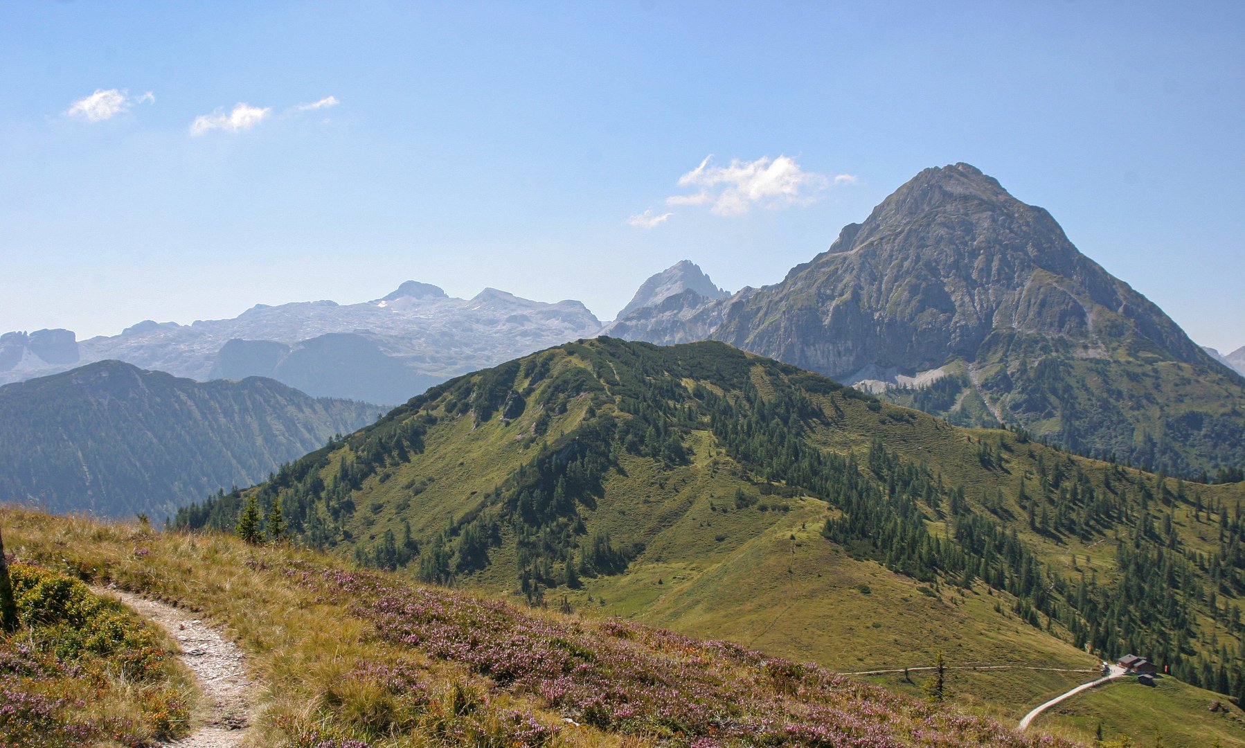 Header image
